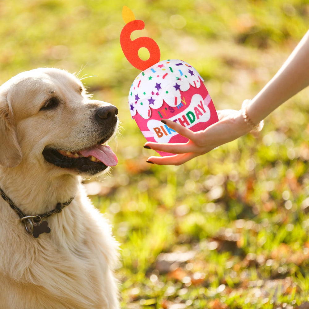 Dansydaisy dog birthday cake toy pink washable, remains cute after machine or hand washing.