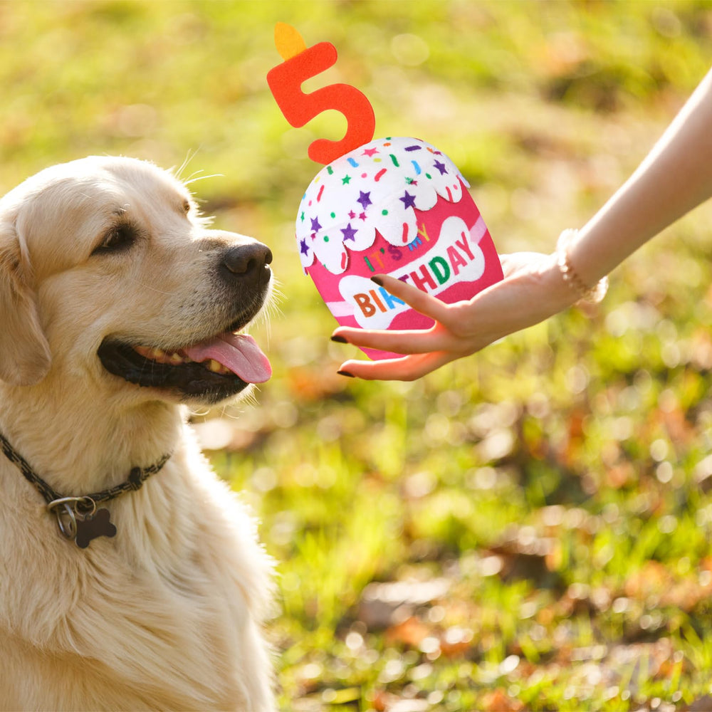 Dansydaisy dog toy size 7.87x3.74 inches—fits small to large dogs during party