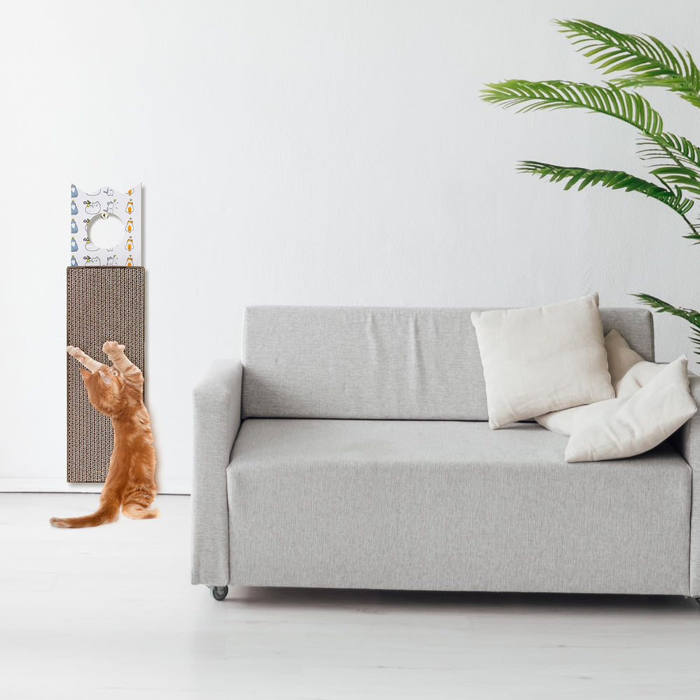 Dansydaisy kitty-friendly installation shows door or wall mounting for clutter-free play.