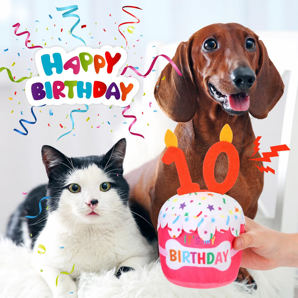 Dansydaisy pink dog birthday cake toy with squeaker inviting engagement
