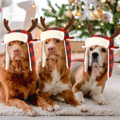 Dansydaisy soft cotton dog hat provides warm, lightweight comfort