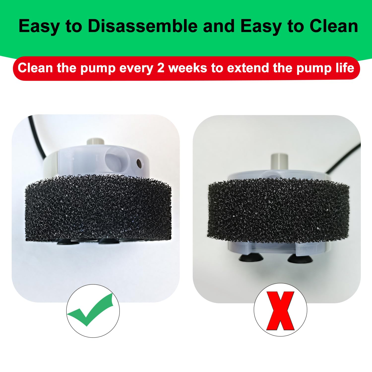 Daoxuan SMA-800 delivers ultra-quiet operation for peaceful pet moments.