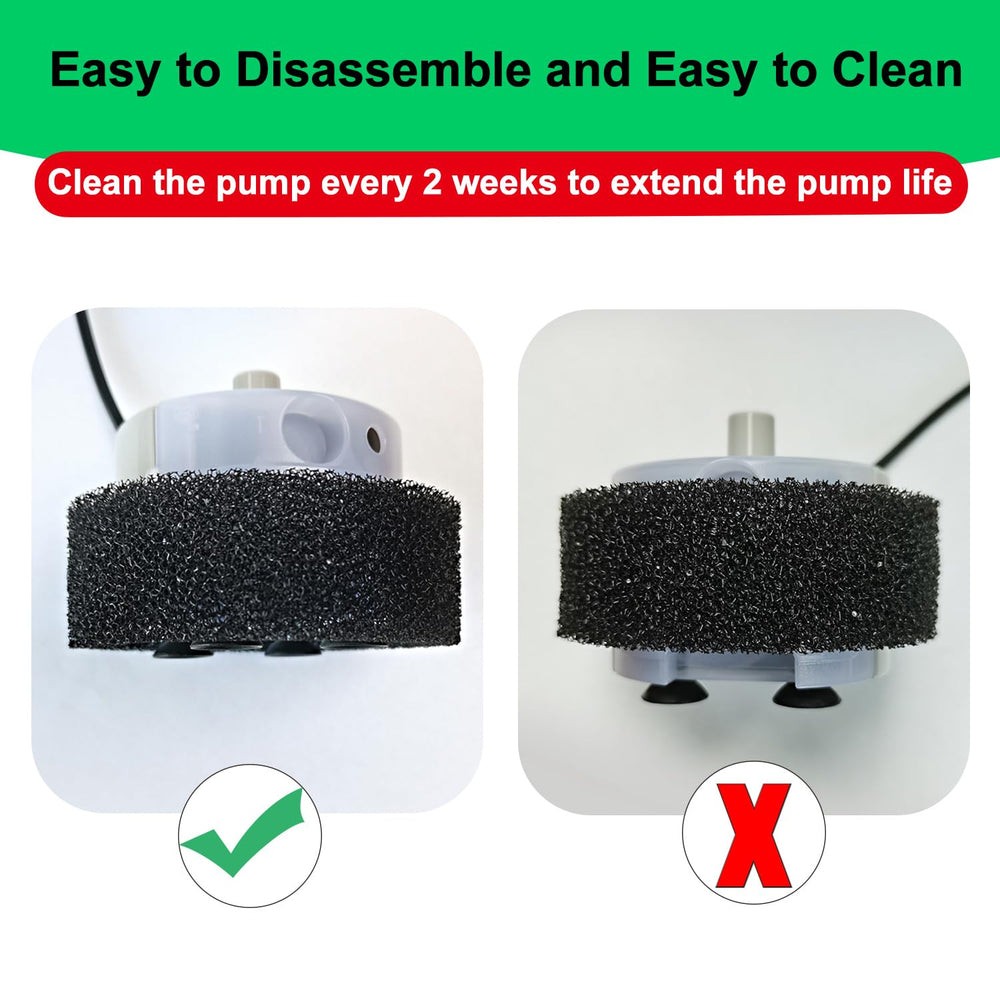 Daoxuan SMA-800 delivers ultra-quiet operation for peaceful pet moments.