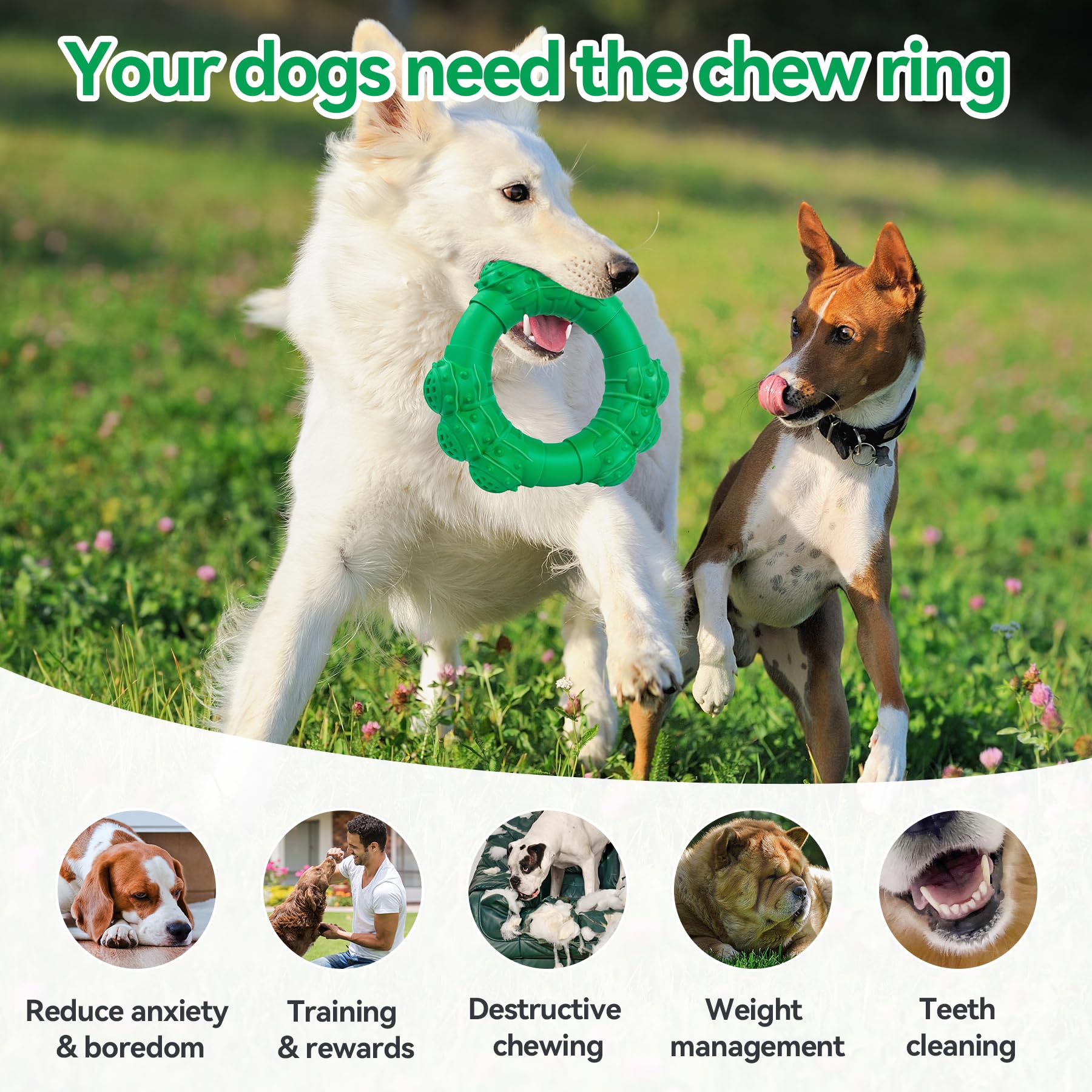 DAOZIJI beef-flavored chew toy delivers satisfying taste