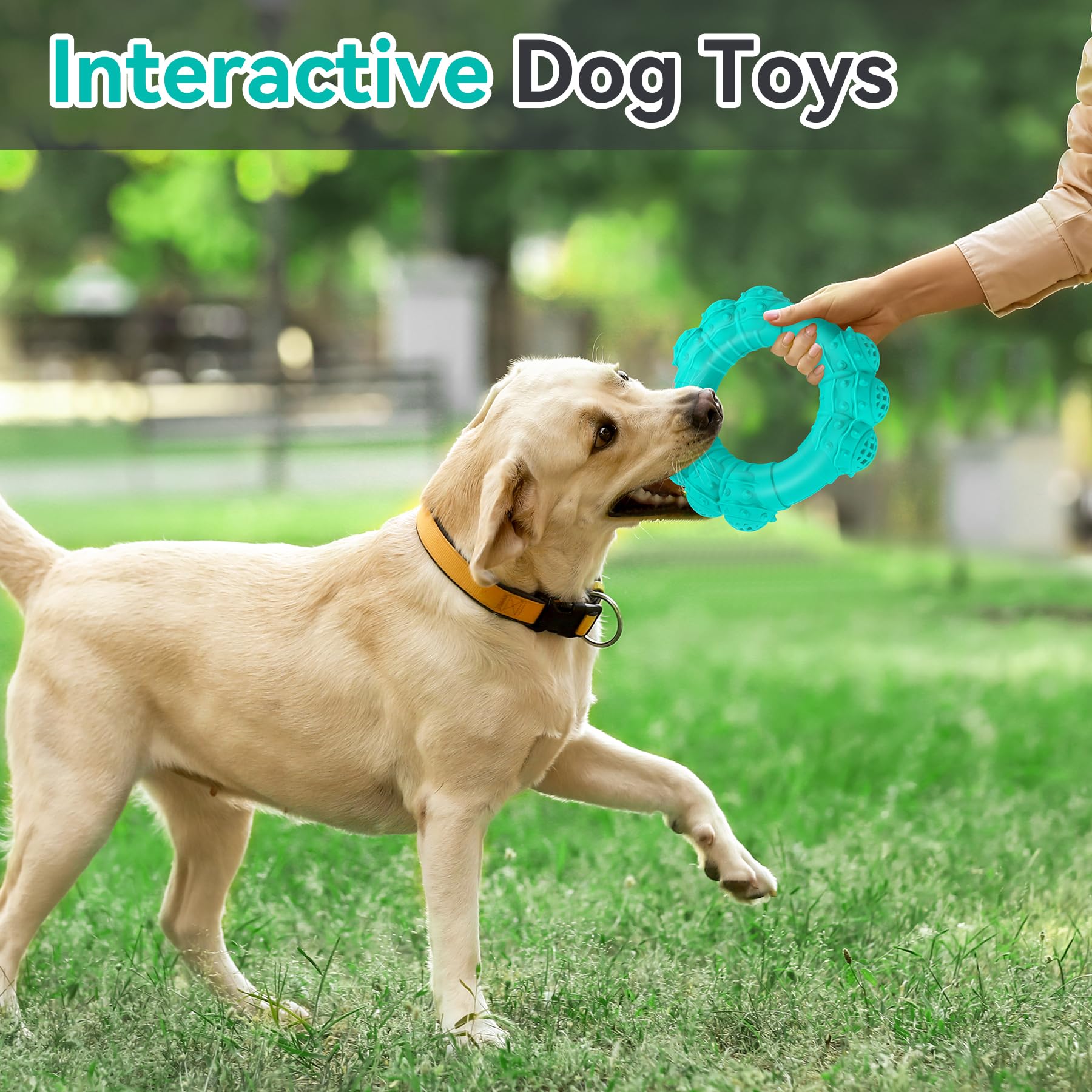 DAOZI beef-flavor chew toy boosts chewing engagement
