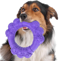 DAOZIJI indestructible dog chew ring close-up with beef flavor for tough chewers