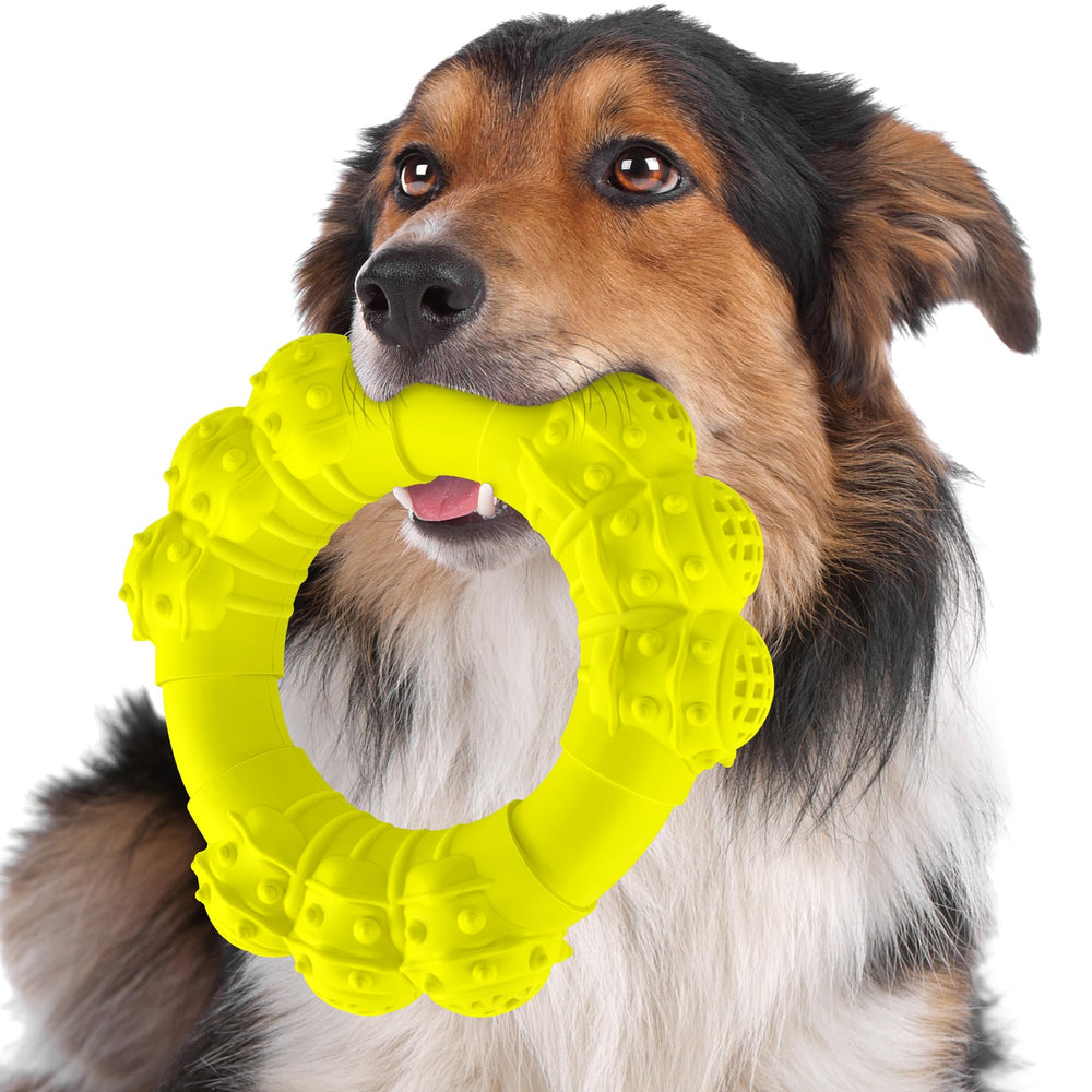 DAOZIJI indestructible dog chew ring outdoors for aggressive chewers promotes long-lasting play