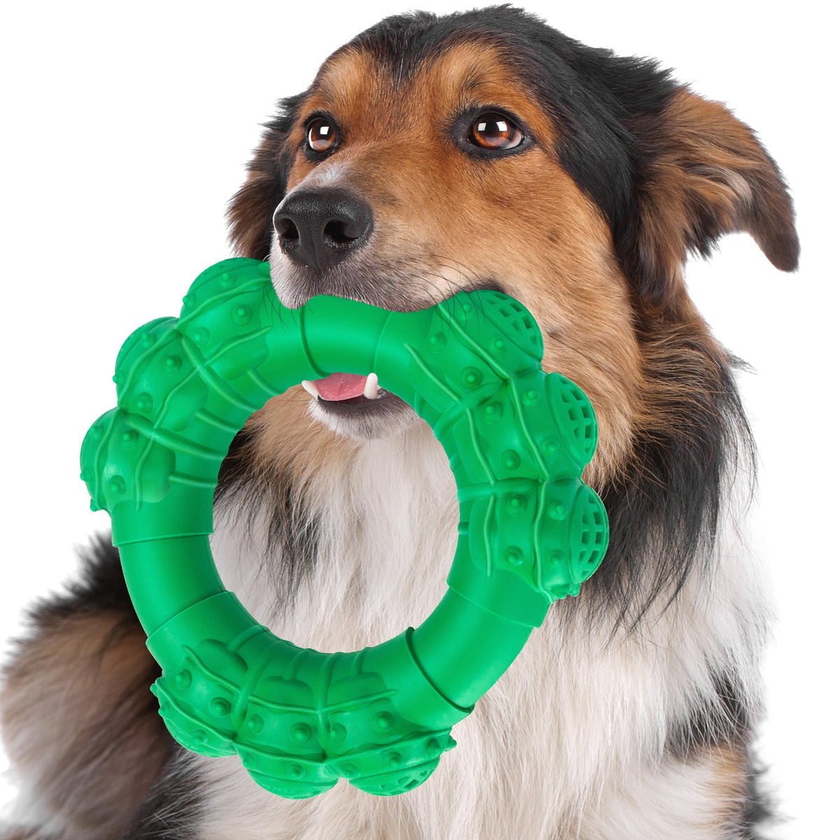 DAOZIJI indestructible ring chew toy for aggressive chewers boosts engagement