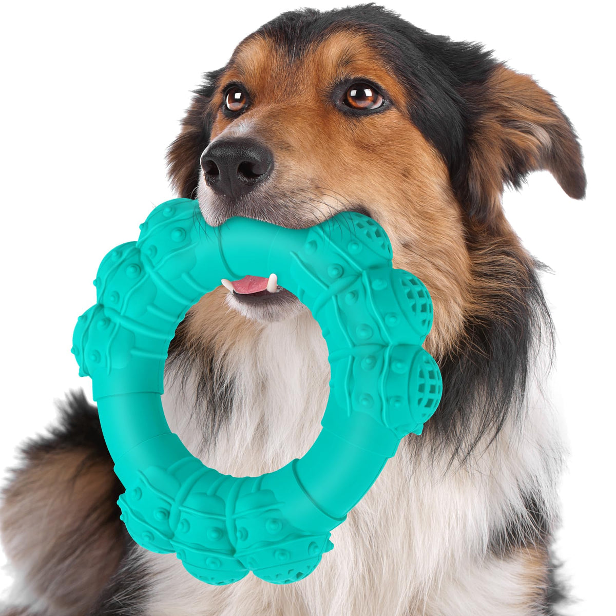 DAOZIJI indestructible ring chew toy endures heavy chewing for aggressive chewers