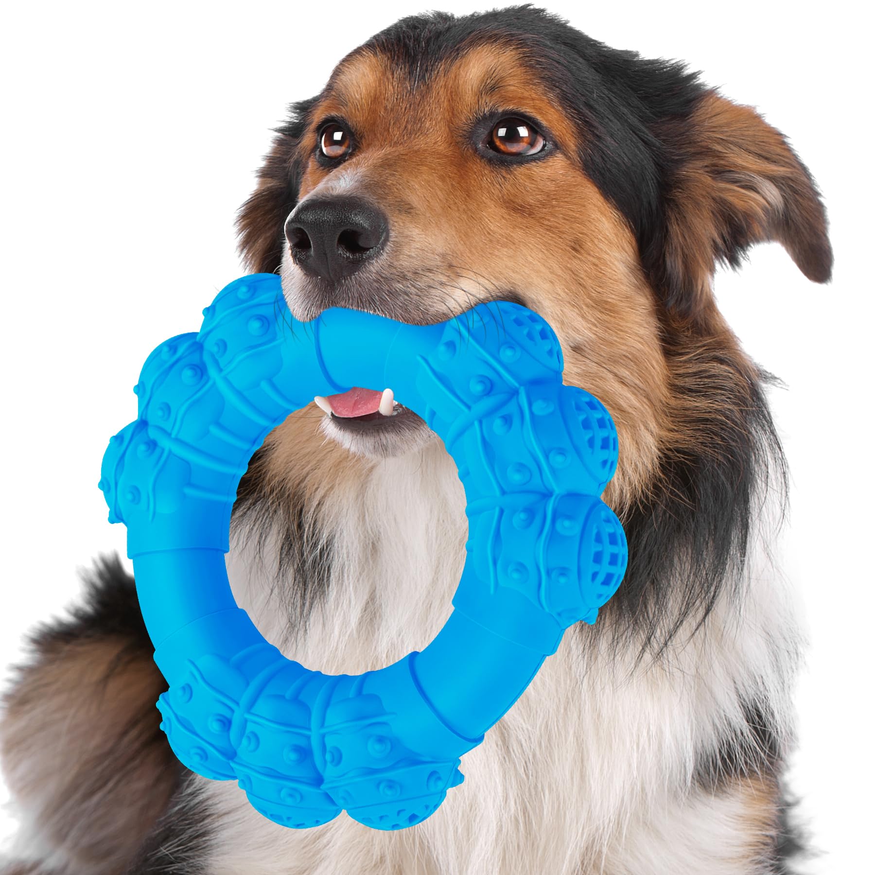 DAOZIJI Indestructible Ring Toy closeup shows beef flavor for engaging chewing.