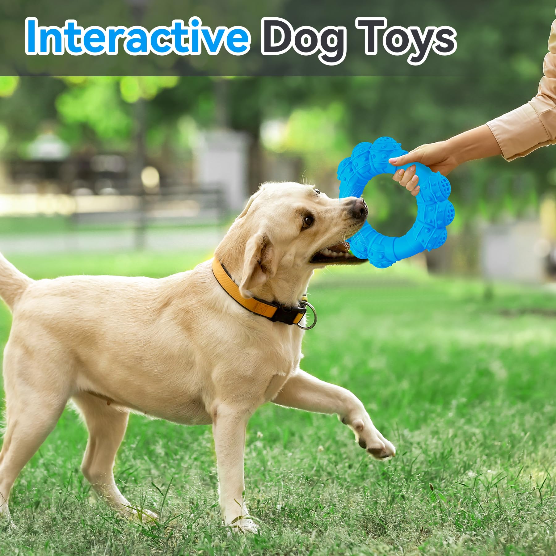 DAOZIJI ring toy designed for indoor and outdoor interactive play.