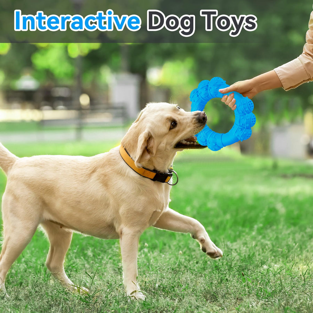DAOZIJI ring toy designed for indoor and outdoor interactive play.