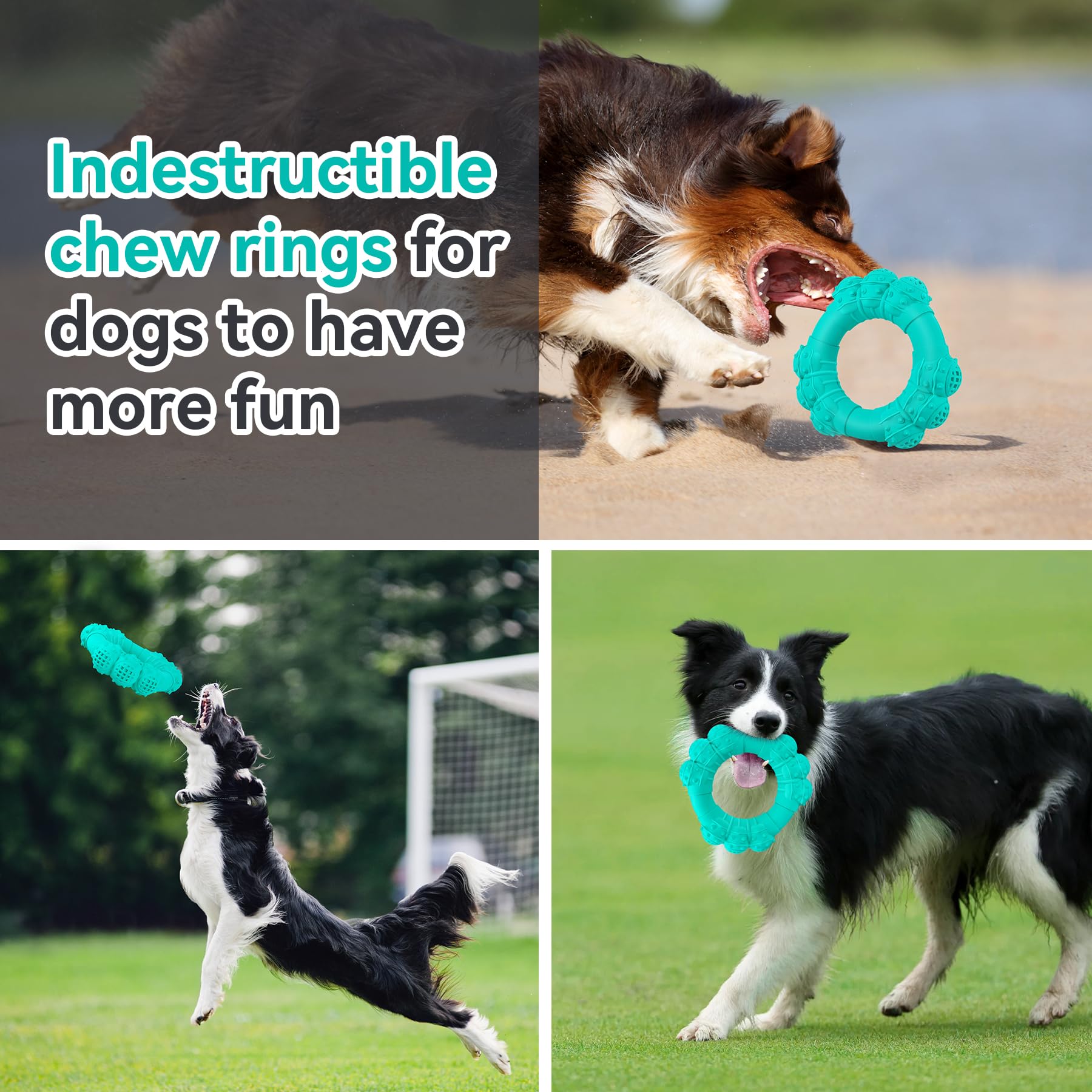 DAOZIJI interactive toy for indoor and outdoor play
