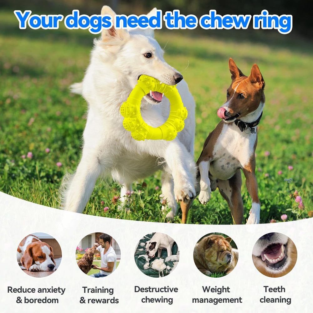 DAOZIJI interactive large-breed ring toy strengthens bonding during indoor training games