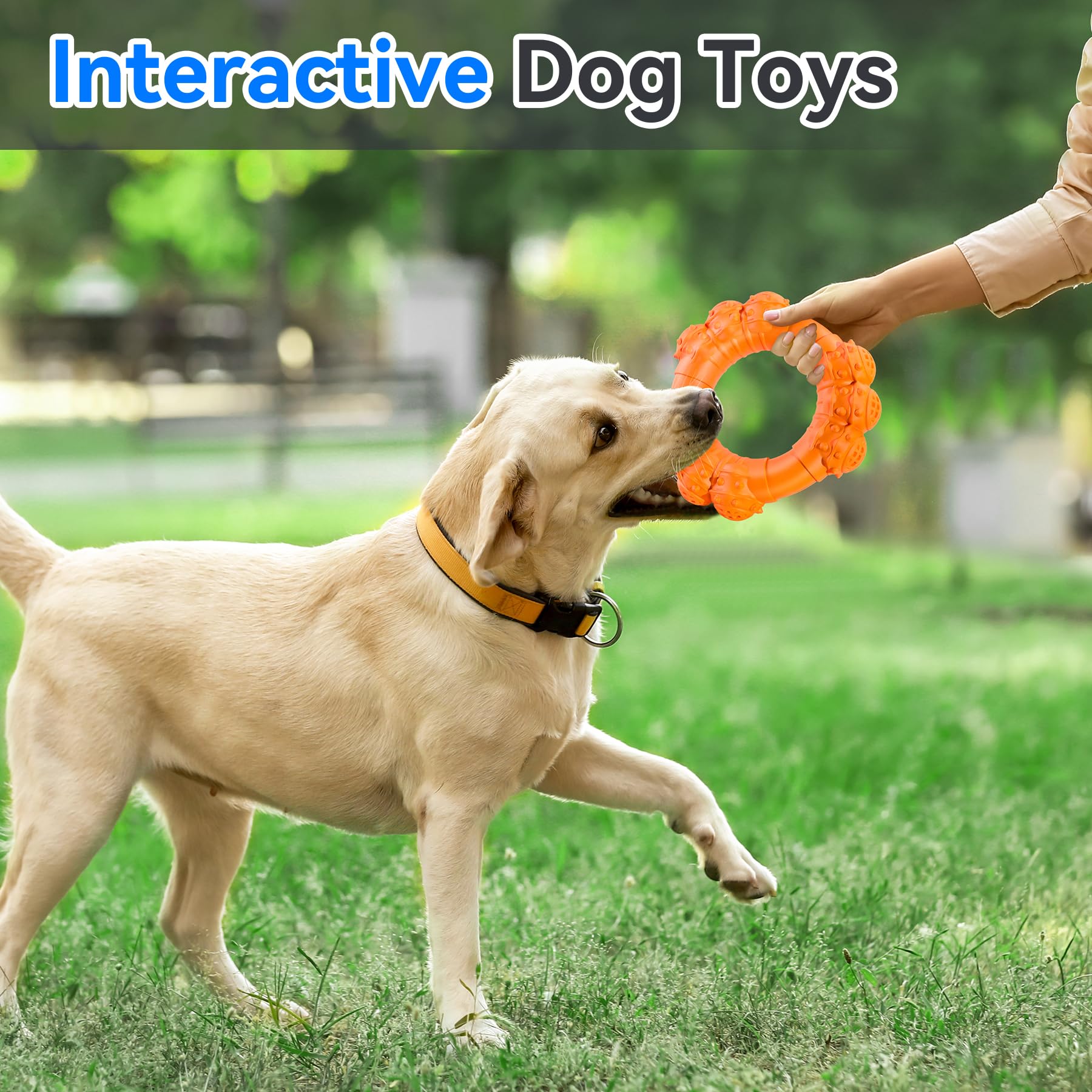 DAOZIJI puppy-teething ring toy provides teething relief and cleanup