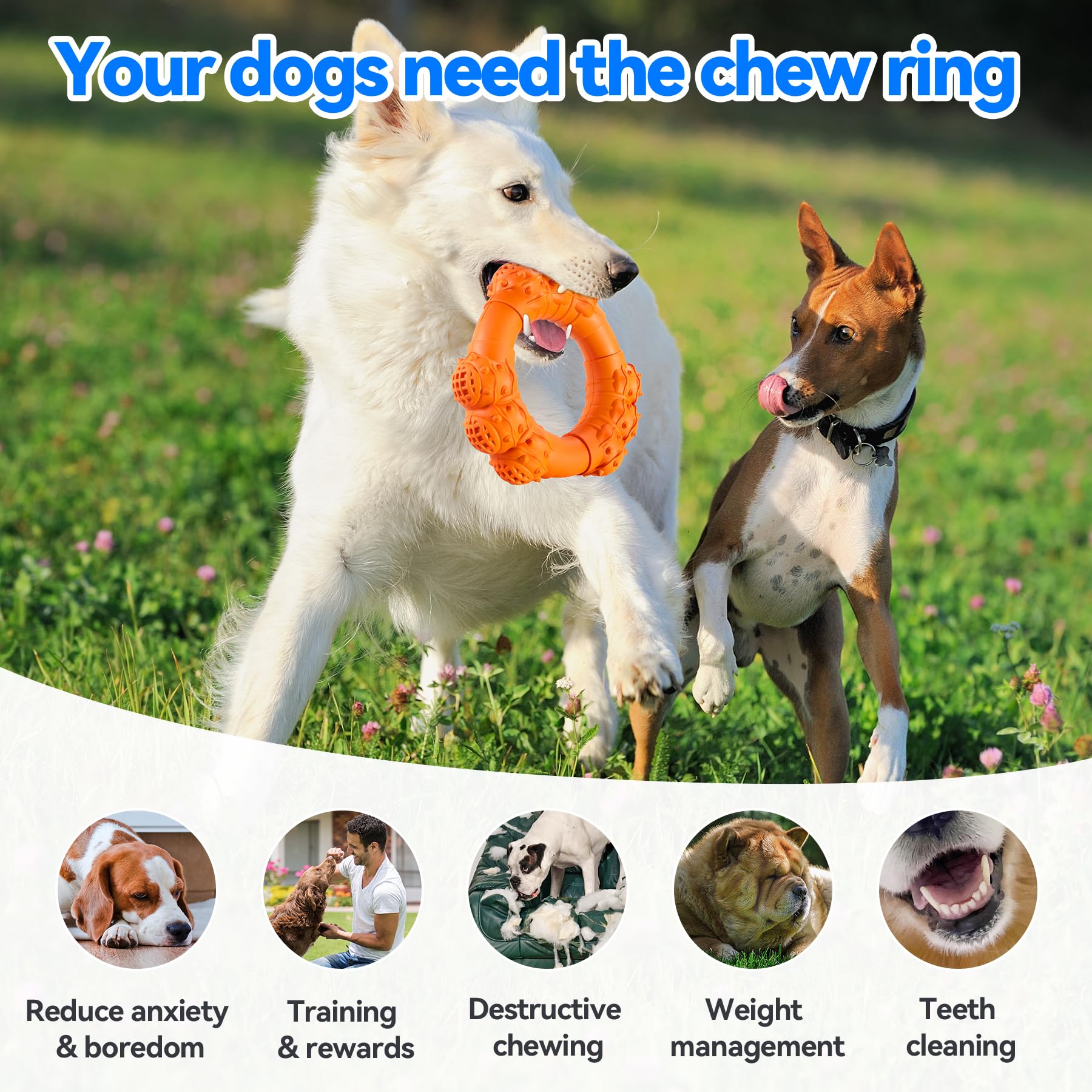 DAOZIJI soft-edge ring toy offers safe chewing for mouths