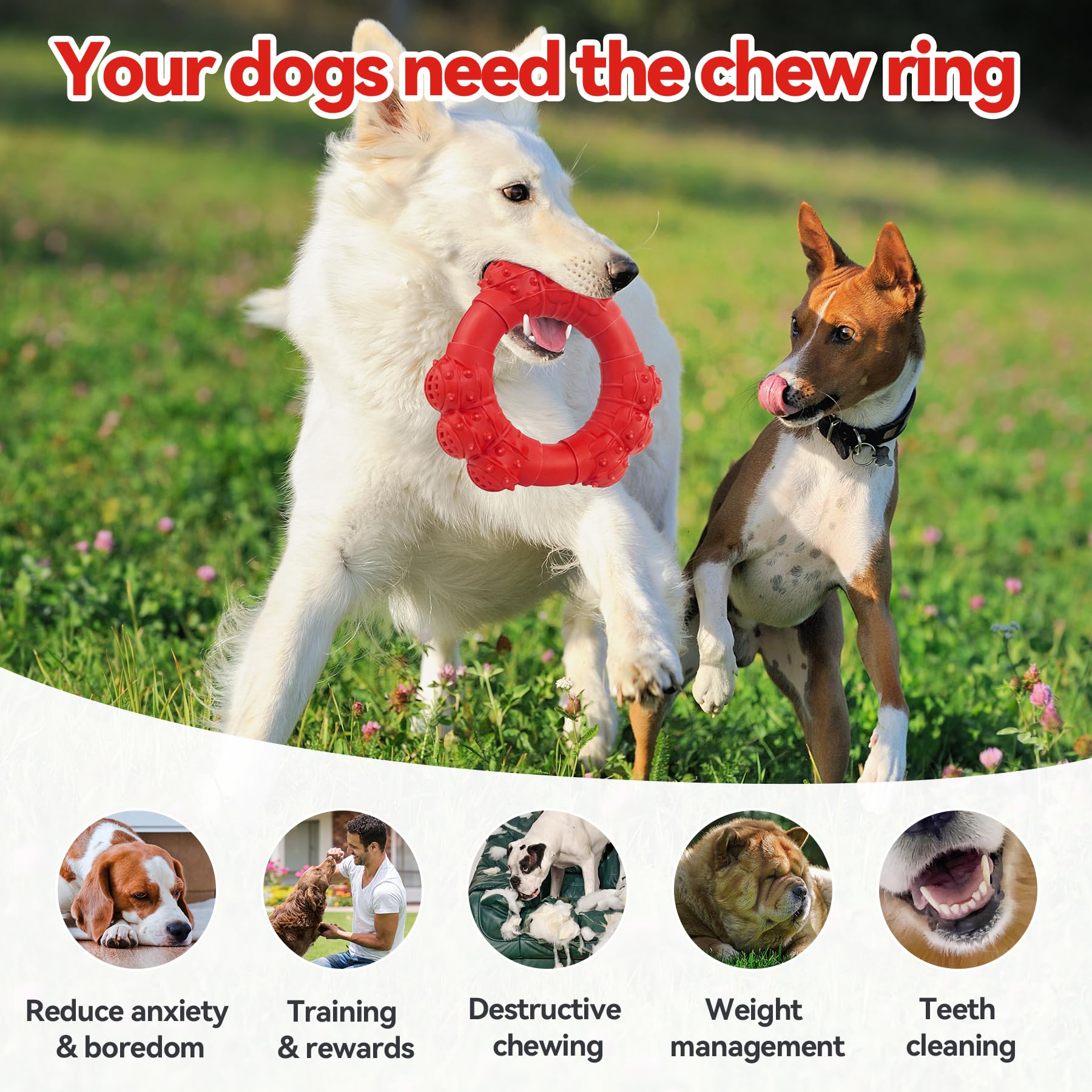 DAOZIJI teething toy with three balls for full-mouth coverage in large dogs.