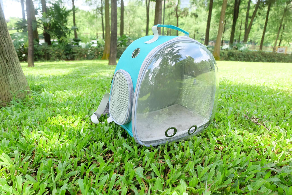 Dasunzye lightweight compact storage design ideal for easy storage and on-the-go walks