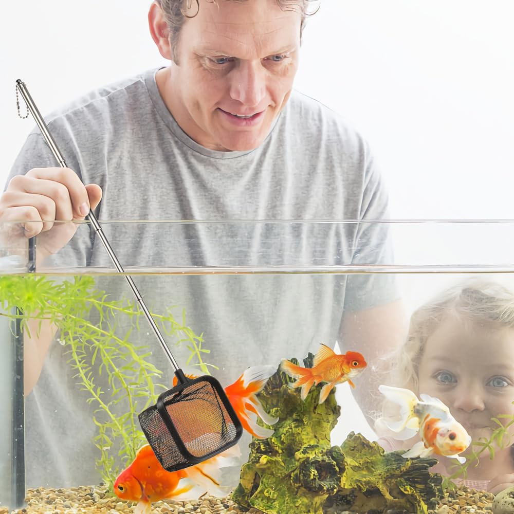 DaToo 1-year warranty with responsive support for aquarium gear.