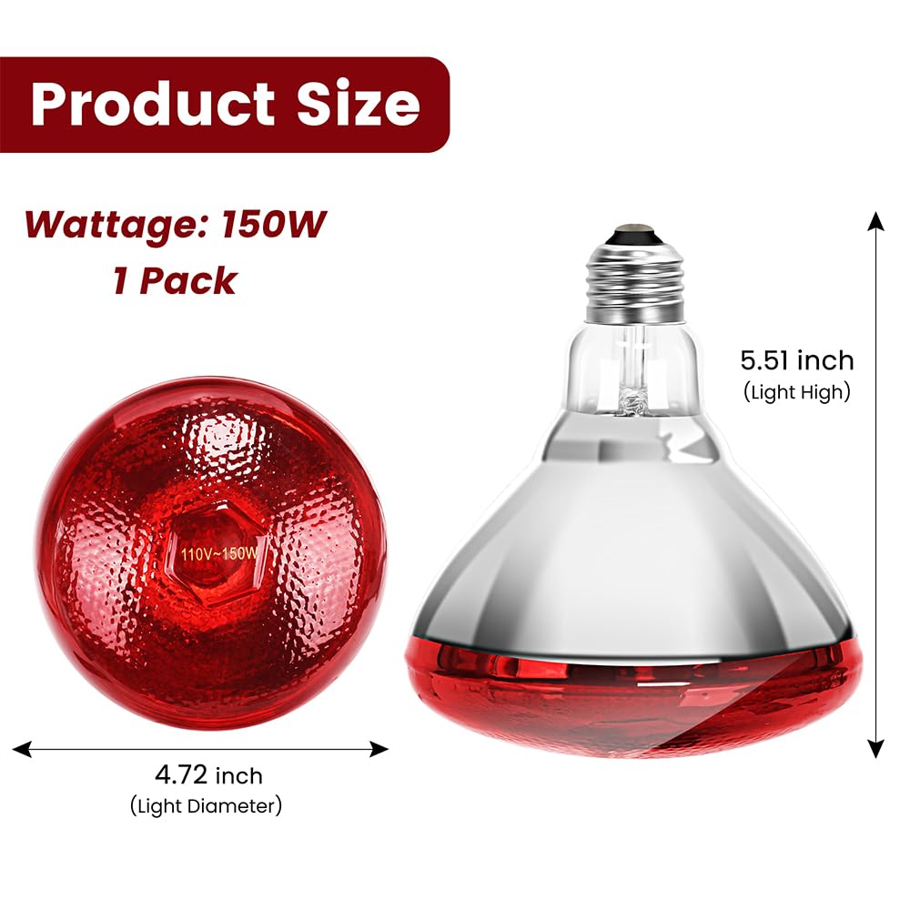 DaToo 150W heating lamp closeup highlights efficient heat concentration for quick warming.