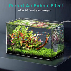 DaToo aquarium air stone made of silicon carbide ensures safety and durability