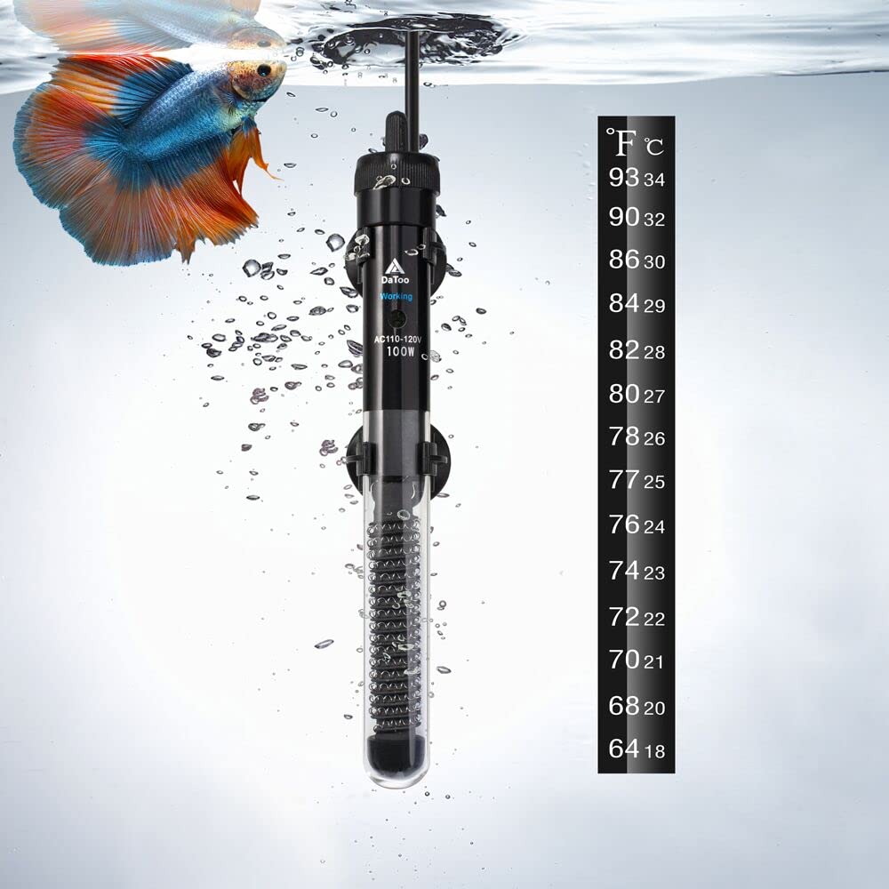 DaToo 100W aquarium heater front view compact design for versatile tanks