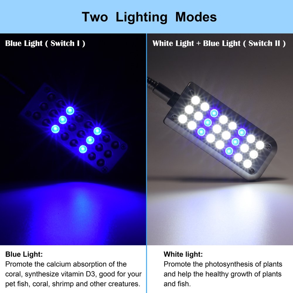 DaToo light offers 1.5W power with efficient LED beads