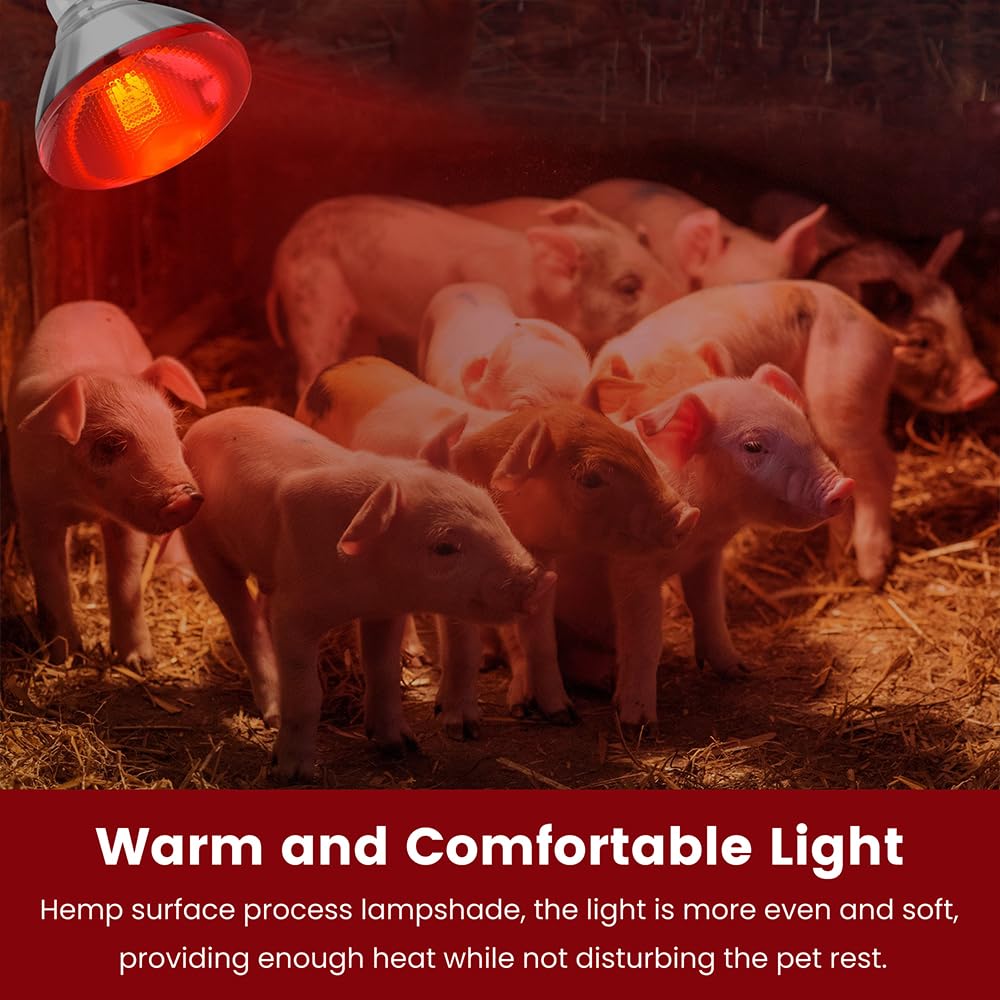 DaToo borosilicate glass construction signals durability in high-temp, humid environments.