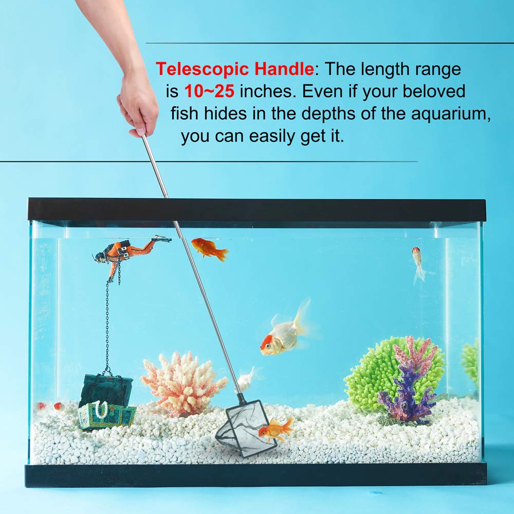 DaToo net supports safe handling of bettas, guppies, and shrimp