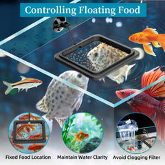 DaToo fish feeding ring adjustable height aligns with water level for stable feeding.