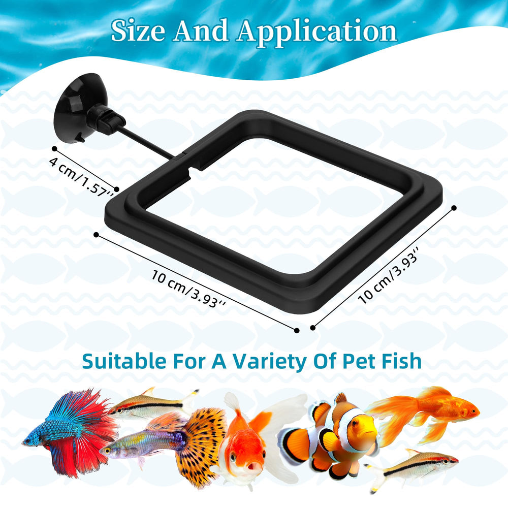 DaToo fish feeding ring with large suction cup stays secure during vigorous inflows.