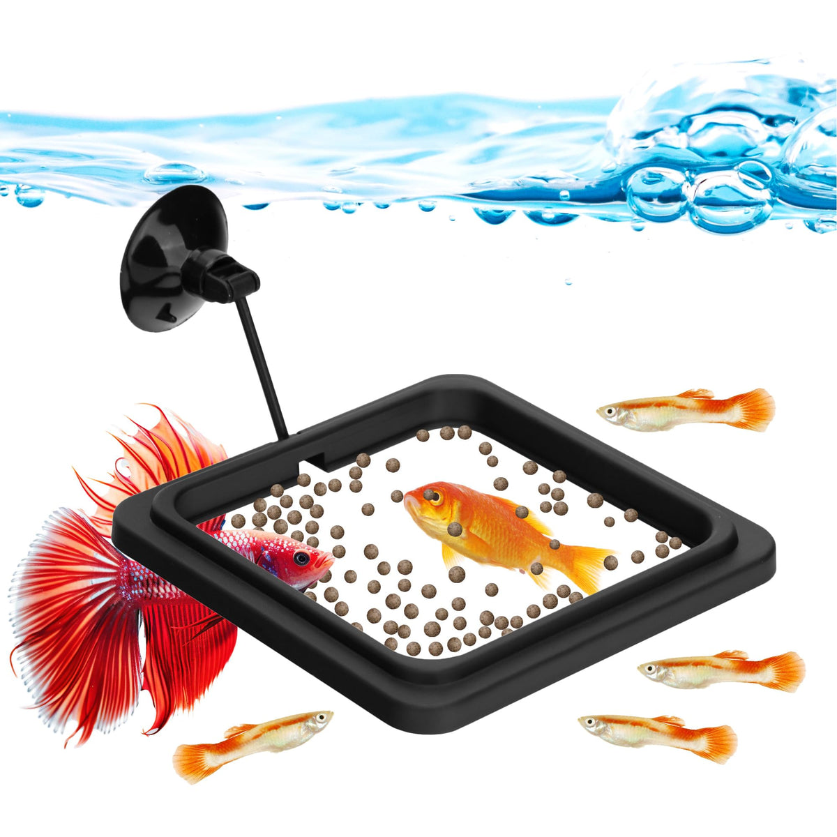DaToo fish feeding ring square design keeps floating food neatly arranged for calm mealtime.