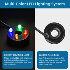 DaToo four-color LED lights deliver vibrant underwater ambience.