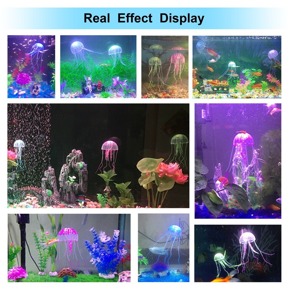 DaToo jellyfish suction cup attachment demonstrates easy setup and adjustable line.