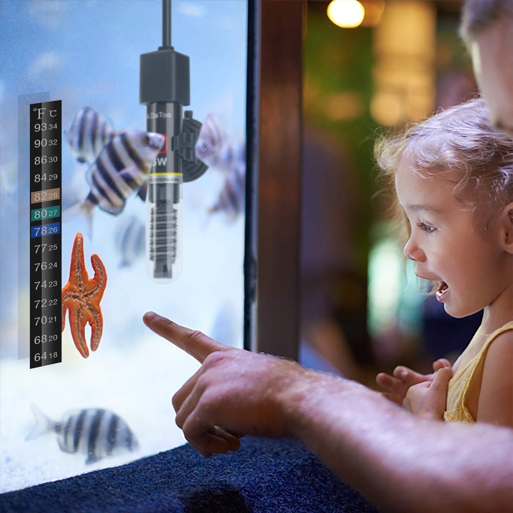 DaToo Mini Aquarium Heater with one-year warranty and support