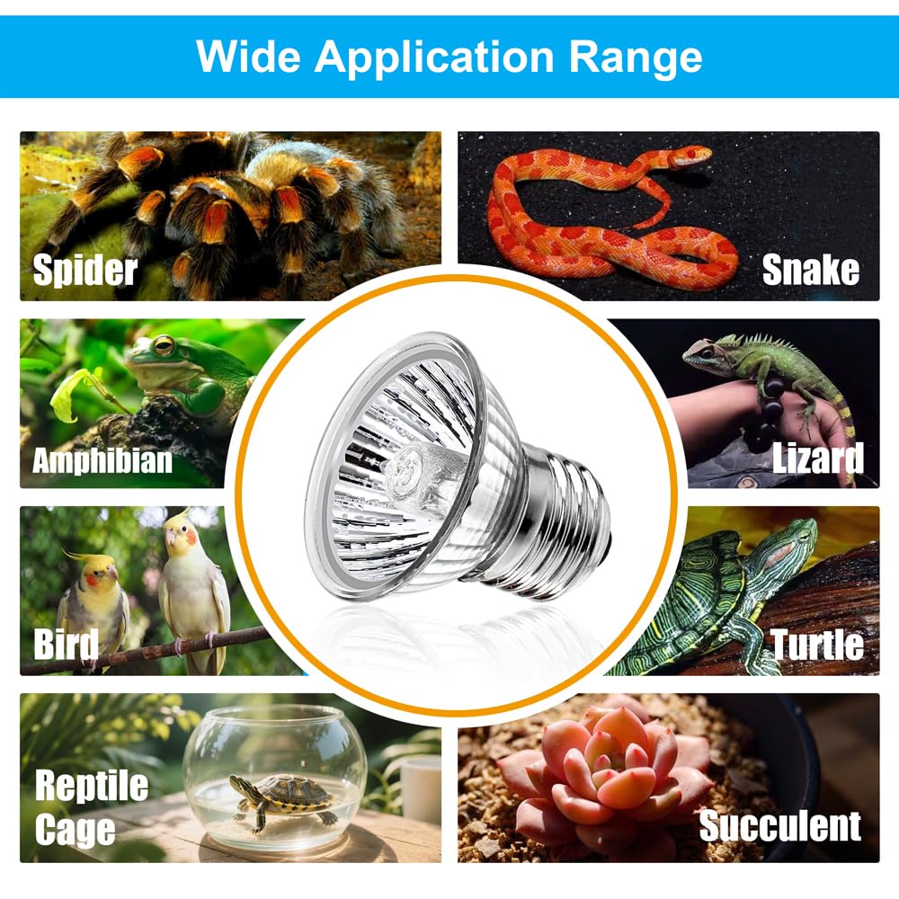 DaToo versatile reptile lighting for multiple species and setups