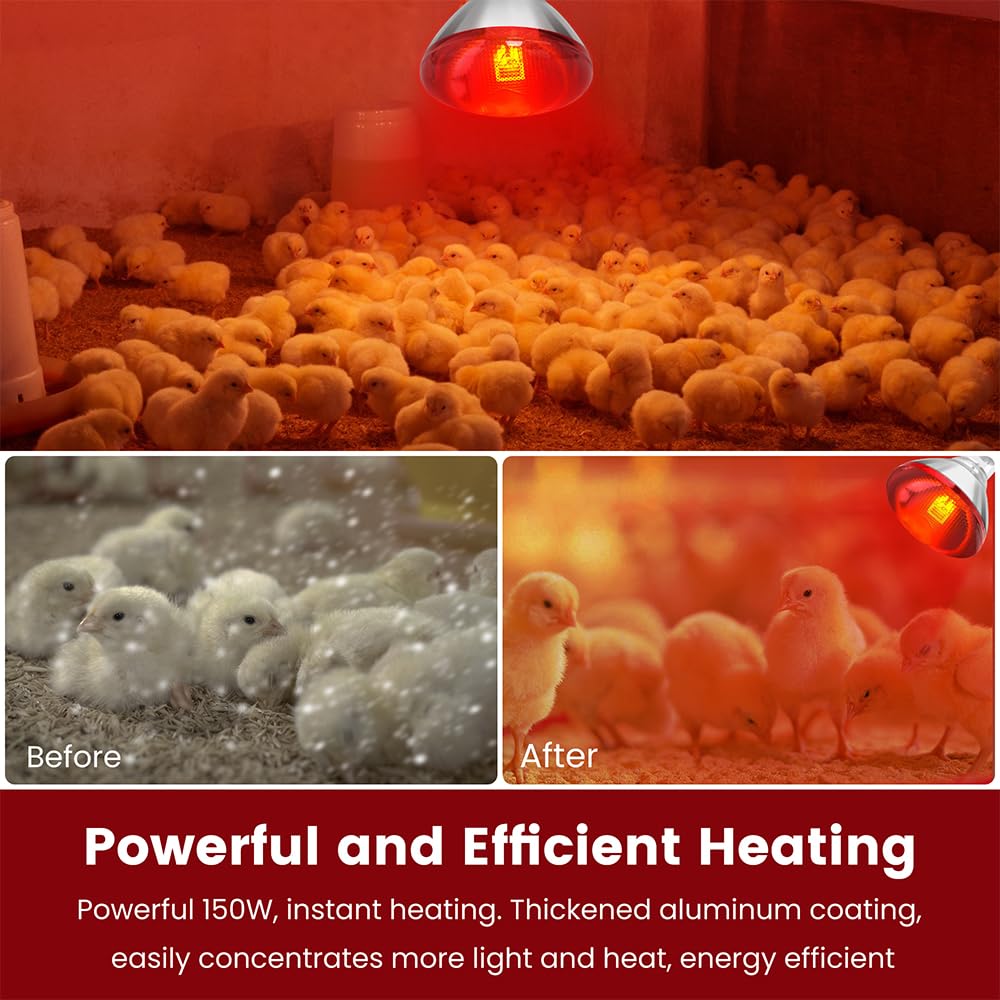 DaToo warm soft red light image emphasizes non-intrusive illumination that supports rest.