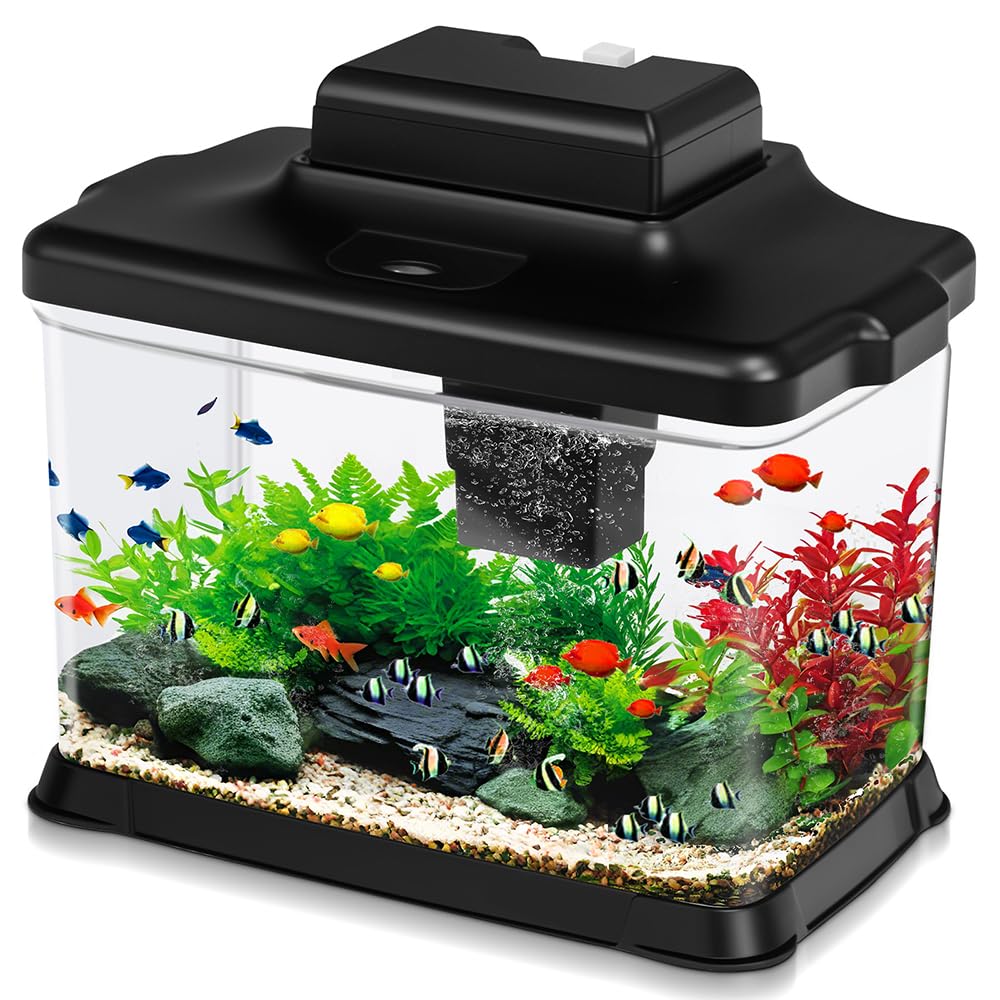 DaToo 1.6 Gallon tank offers ultra-clear viewing for a vivid desktop aquarium.