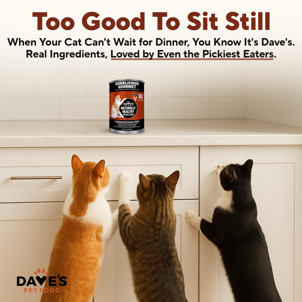 Dave's 12-pack carton visual promotes bulk-friendly savings for busy households