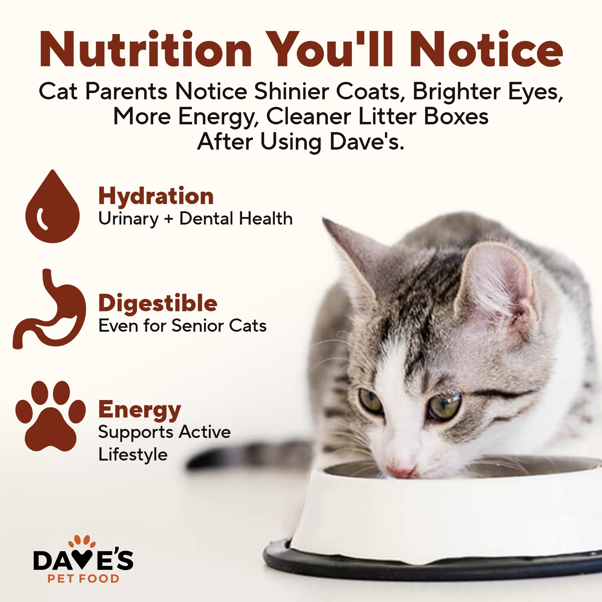 Dave's 13oz can image highlights convenient single-serving portions for daily feeding