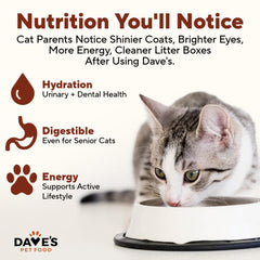 Dave's 13oz can image highlights convenient single-serving portions for daily feeding