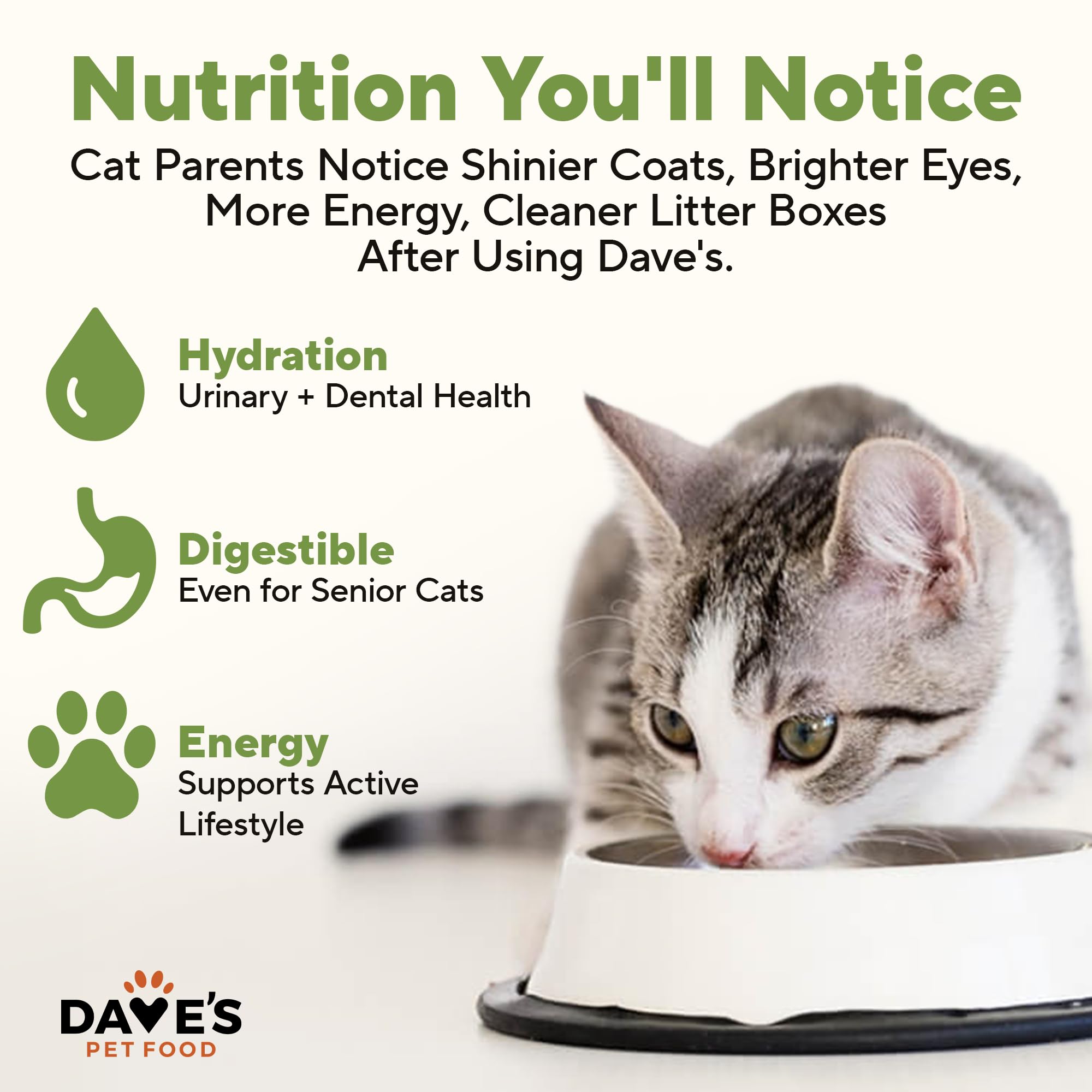 Icon on Dave's Pet Food can showing added vitamins and minerals