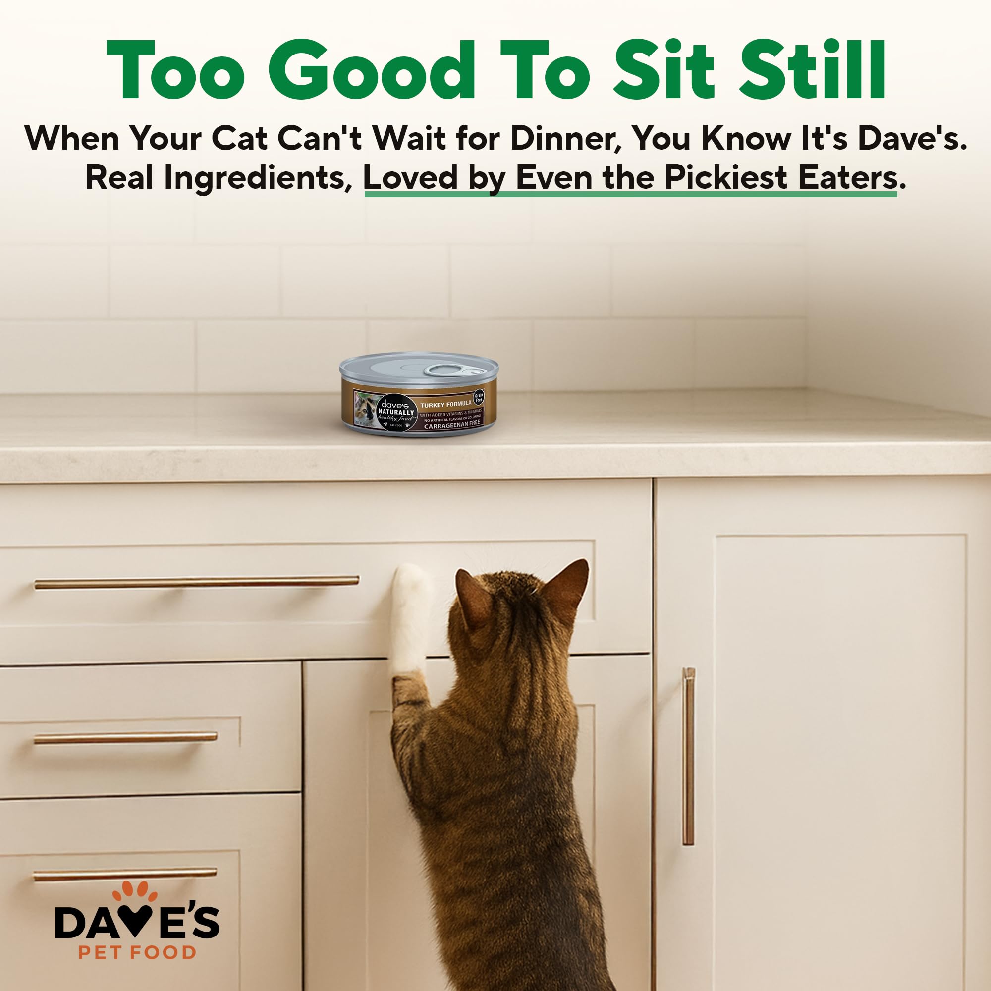 Dave's Pet Food added vitamins and minerals label signals complete daily nutrition.