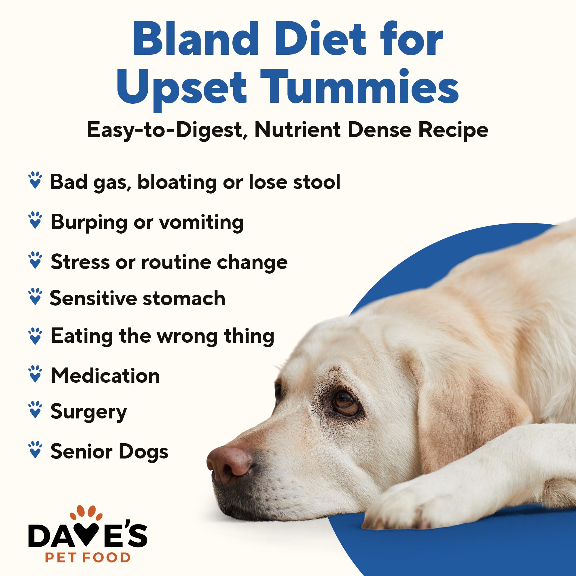 Dave's Pet Food Bland Diet chicken-rice can-open reveals soothing formula for sensitive stomachs.