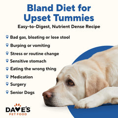 Dave's Pet Food Bland Diet chicken-rice can-open reveals soothing formula for sensitive stomachs.