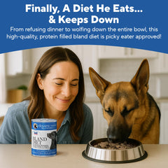 Dave's Pet Food Bland Diet chicken-rice ingredients highlight limited, wheat-free formula.