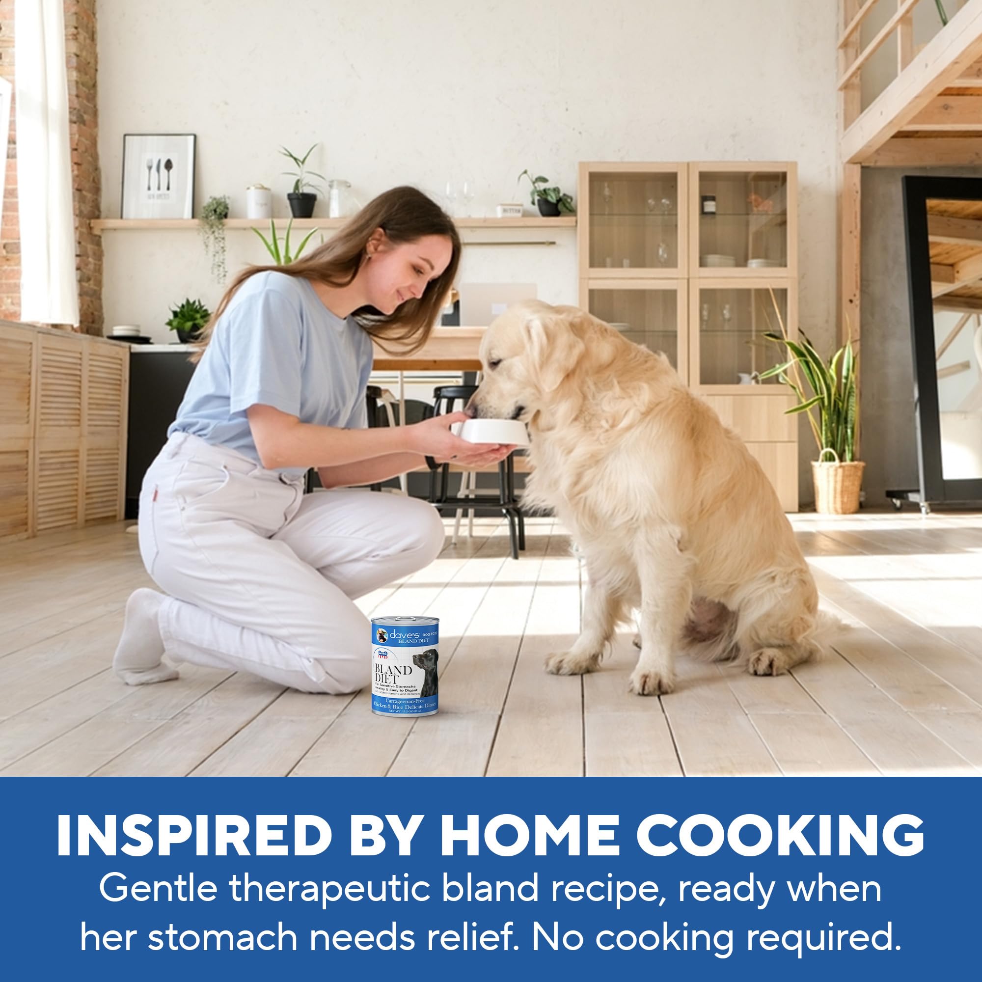 Dave's Pet Food Bland Diet kitchen-scene-8 captures everyday feeding routines for busy households.