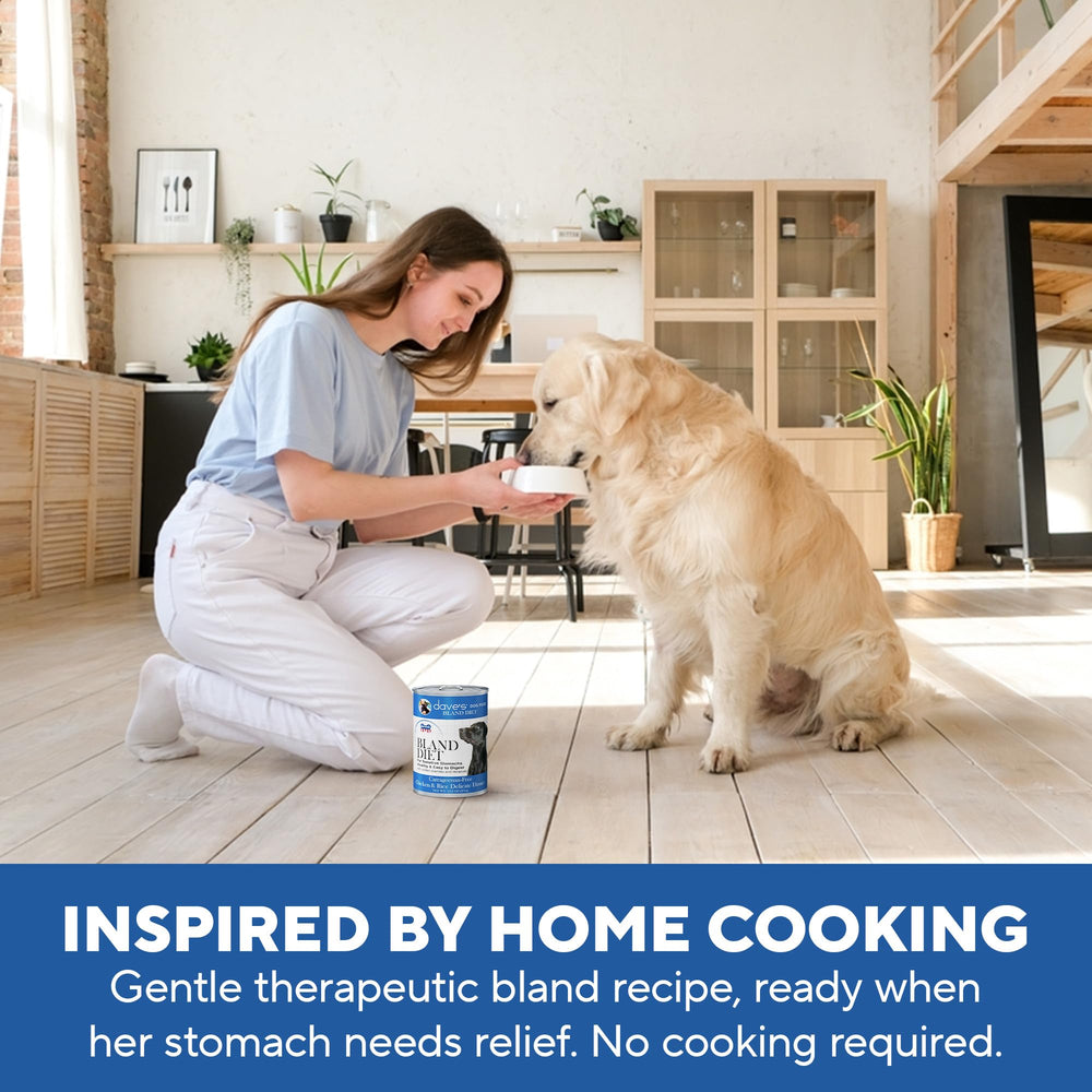 Dave's Pet Food Bland Diet kitchen-scene-8 captures everyday feeding routines for busy households.