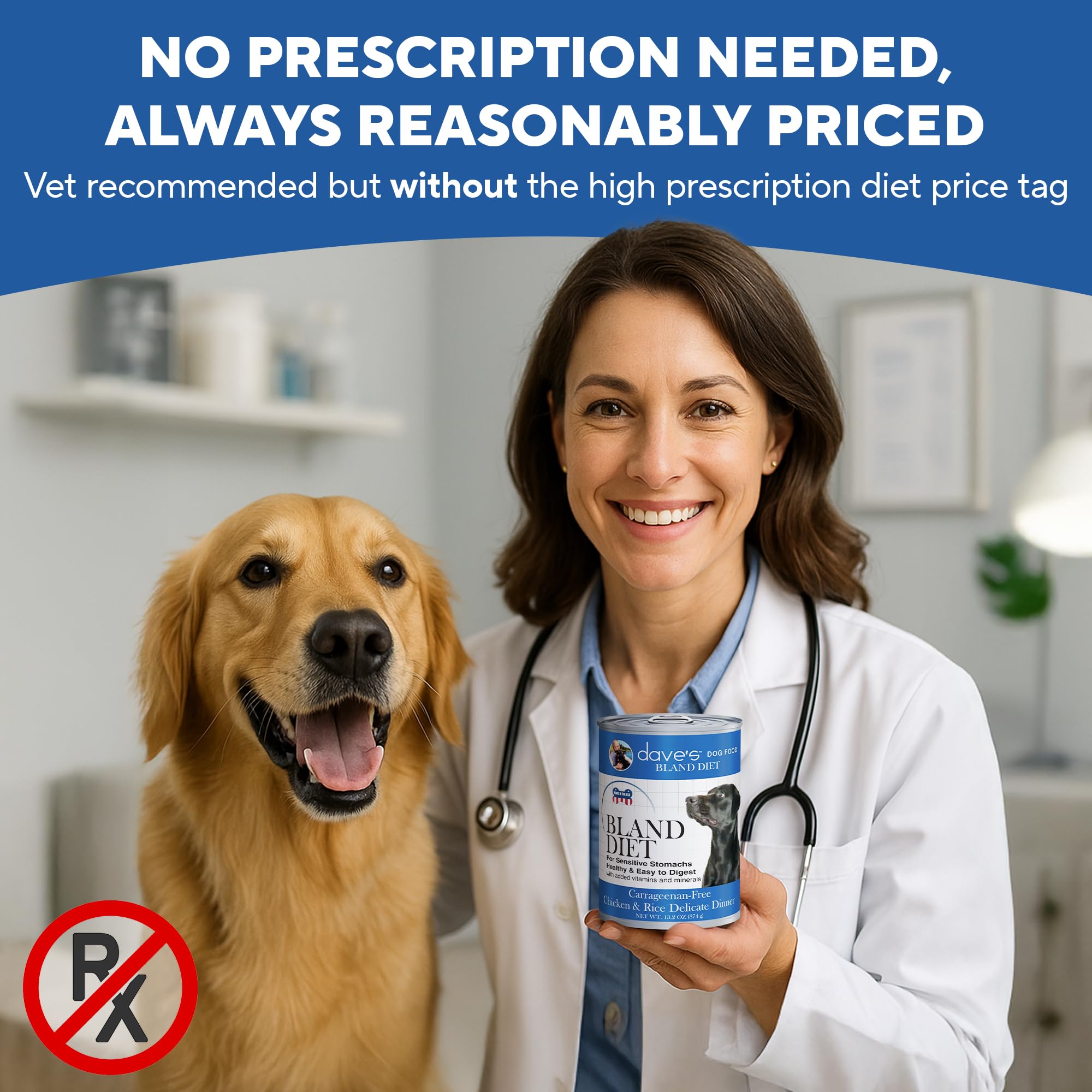 Dave's Pet Food Bland Diet label clearly communicates vitamins and minerals for balanced nutrition.