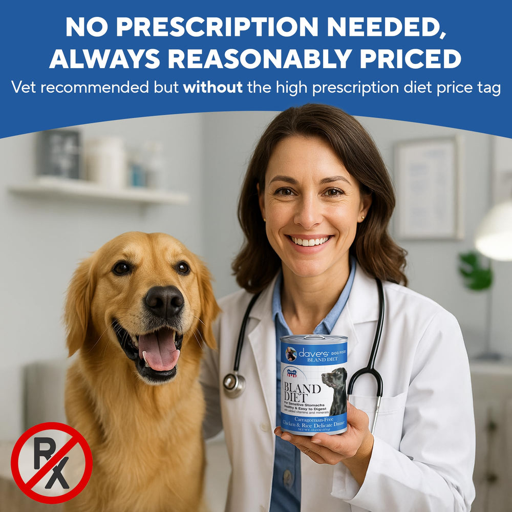 Dave's Pet Food Bland Diet label clearly communicates vitamins and minerals for balanced nutrition.
